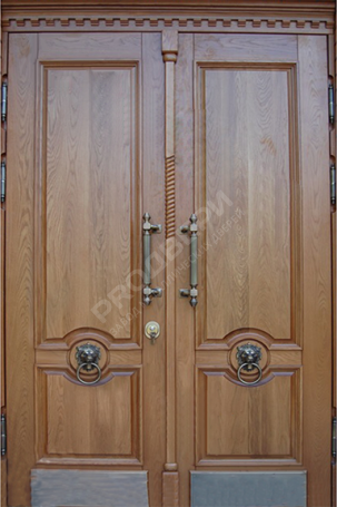 Фотография «Парадная дверь №218»